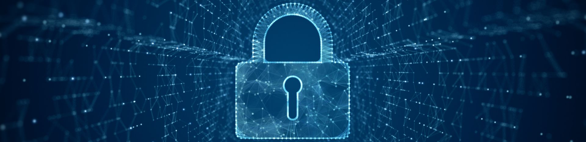 Política de Privacidade Nevescar